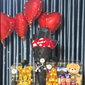 Birthday Surpise -Premium